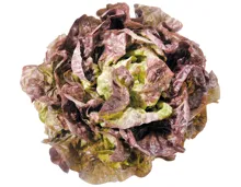 Kopfsalat rot
