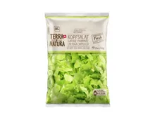 Kopfsalat Terra Natura