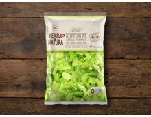 Kopfsalat Terra Natura