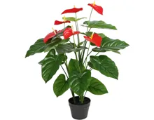 Kunstpflanze Anthurium im Topf, 95 cm