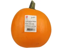 Kürbis Halloween klein 1 Stück