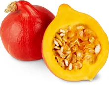 Kürbis Oranger Knirps