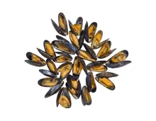 La Cancalaise Miesmuscheln Marinière