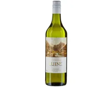 La Côte AOC Luins Collection Berner Geschichte (2024) – Weisswein, Schweiz (0.75l)
