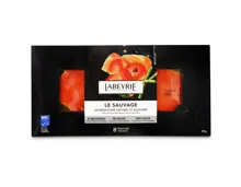 Labeyrie Rauchlachs Alaska MSC