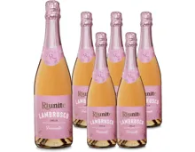 Lambrusco Rosato Frizzante 6x 75cl – Schaumwein, Italien (0.75l)