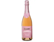 Lambrusco Rosato Frizzante – Schaumwein, Italien (0.75l)