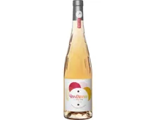 Languedoc-Roussillon IGP Rosorange Paul Mas (2024) – Roséwein, Frankreich (0.75l)