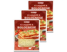 Lasagne Bolognese Rind 3x 400g