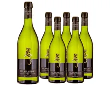 Lavaux AOC La Salamandre 6x 70cl (2024) – Weisswein, Schweiz (0.7l)