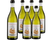 Lavaux AOC Saint-Saphorin Terre Plein Domaine Bernard Bovy 6x 70cl (2023) – Weisswein, Schweiz (0.7l)