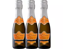 Le Contesse Prosecco brut