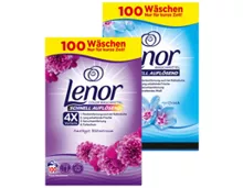 LENOR, WM Pulver 100WG