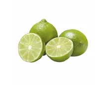 Limetten