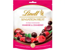 Lindt Sensation Fruit Dunkel Himbeere & Cranberry
