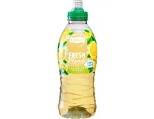 Lipton Fresh Blends Green Tea Citrus