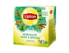 Lipton Morocco Mint