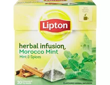 Lipton Pyramiden-Tee Herbal Infusion Morocco Mint