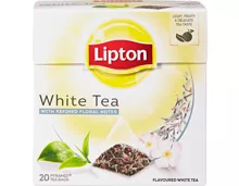 Lipton Pyramiden-Tee White Tea