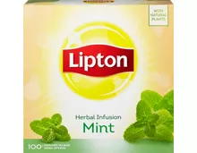 Lipton Tee Pfefferminze