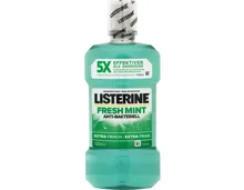 Listerine Mundspülung Freshmint 2 x 500 ml