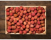 Litchi