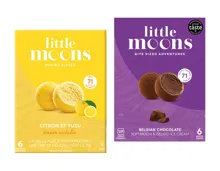 Little Moons Mochi
