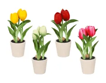 LIVARNO Künstliche Tulpen im Topf