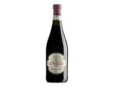 Lombardei Bonarda Oltrepo Pavese DOC frizzante Montelio (2021) – Rotwein, Italien (0.75l)
