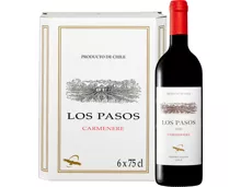 Los Pasos Carménère