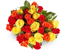 M-Classic Minirosen, Fairtrade