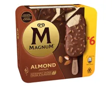 Magnum