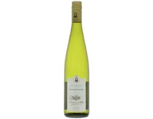 Magnum Alsace AOP Gewürztraminer Baron Hoen (2023) – Weisswein, Frankreich