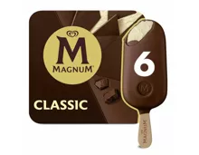 Magnum Classic 6x100ml