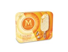 Magnum Double Starchaser / Sunlover
