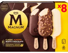 Magnum Glace