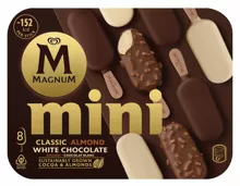 Magnum mini