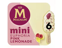 Magnum Mini Euphoria 6x55ml