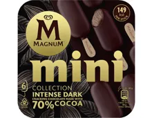 Magnum Mini Intense Dark 6x55ml