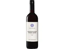 Maienfelder Pinot Noir AOC Graubünden
