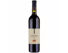 Malbec Mendoza Argentina Bodega Septima