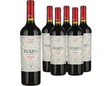 Malbec Mendoza Argentina Brazos de los Andes Familia Zuccardi 6x 75cl (2024) – Rotwein, Argentinien (0.75l)