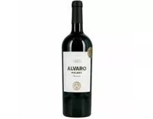 Malbec Reserva Mendoza Argentina Alvaro