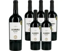 Malbec Reserva Mendoza Argentina Alvaro 6x 75cl (2024) – Rotwein, Argentinien (0.75l)