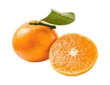 Mandarinen mit Blatt