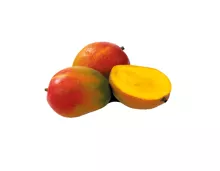 Mangos genussreif