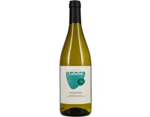 Maremma Toscana DOC Vermentino Cantina La Selva Bio (2024) – Weisswein, Italien (0.75l)