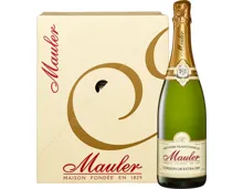 Mauler Cordon Or Extra Dry