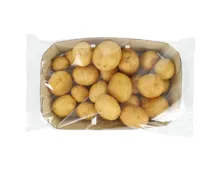 Max Havelaar Babykartoffeln