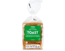 Mehrkorntoast 10 Scheiben